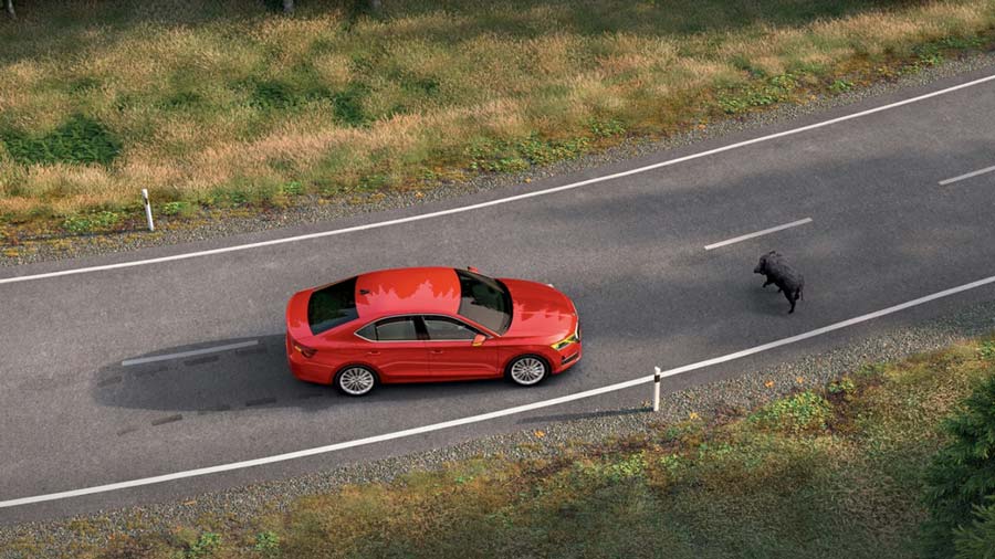 skoda-octavia-251224-vh085